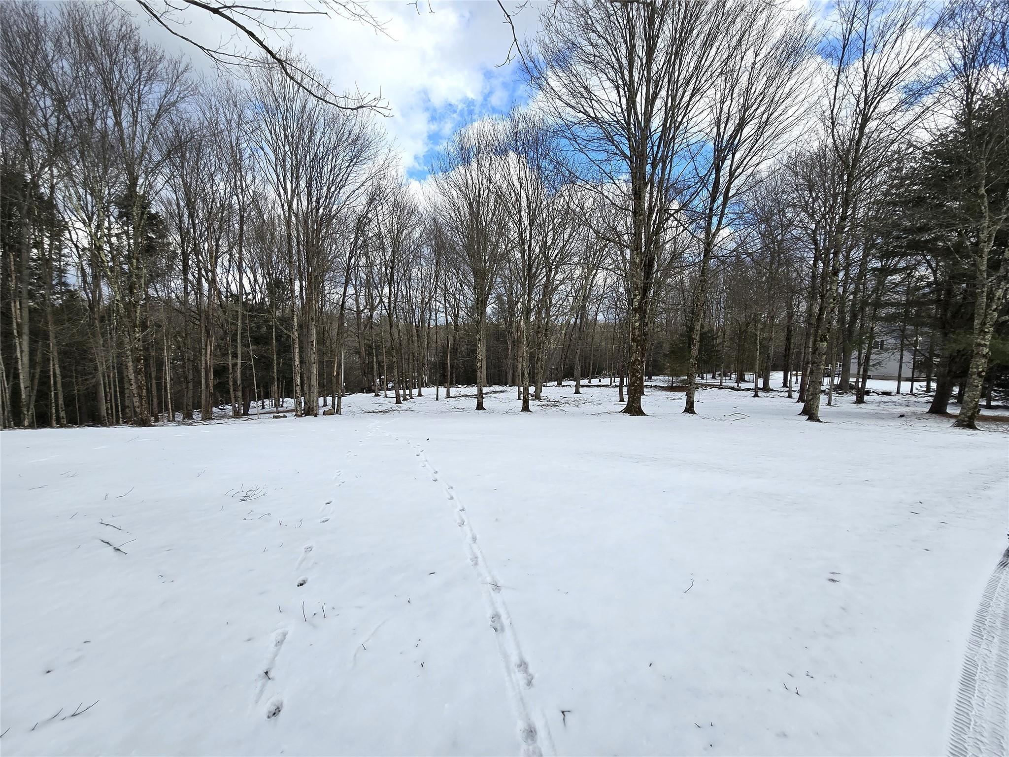 Single Family Van Etten  Sullivan County, NY 12701, MLS-815135-13