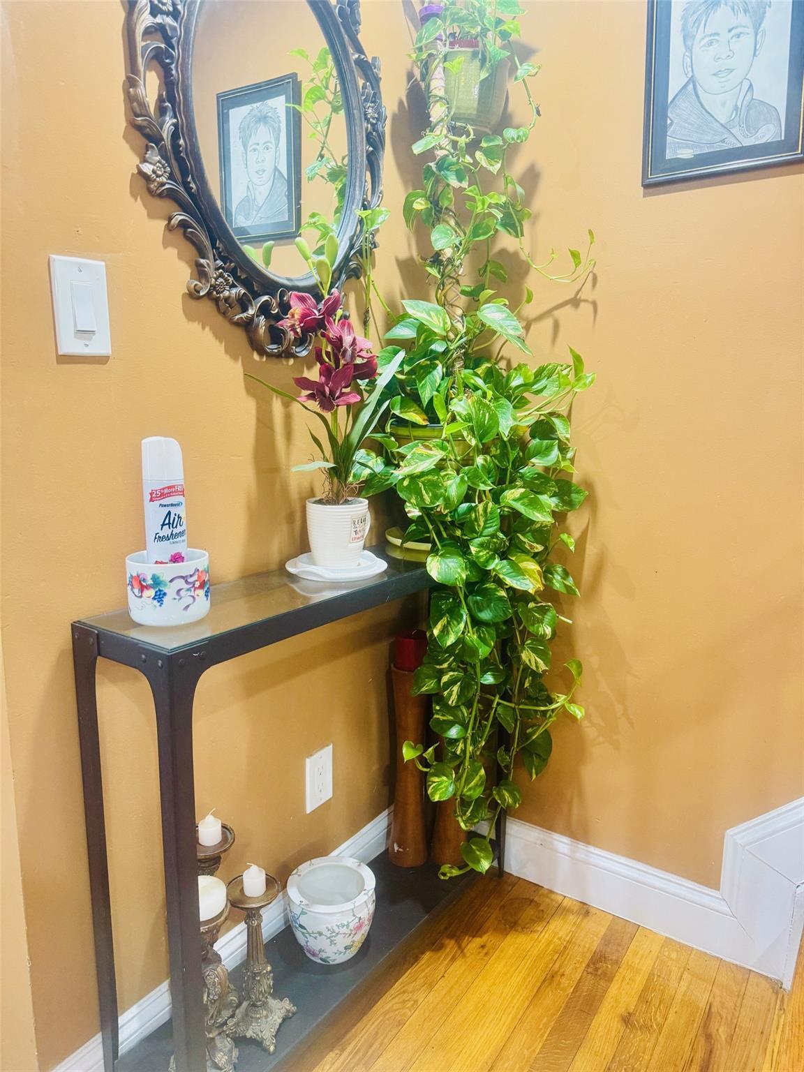 Single Family 158th  Queens, NY 11434, MLS-815144-31