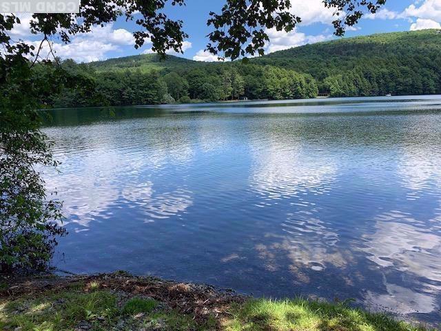 Single Family Mcnamee  Columbia County, NY 12029, MLS-815271-4