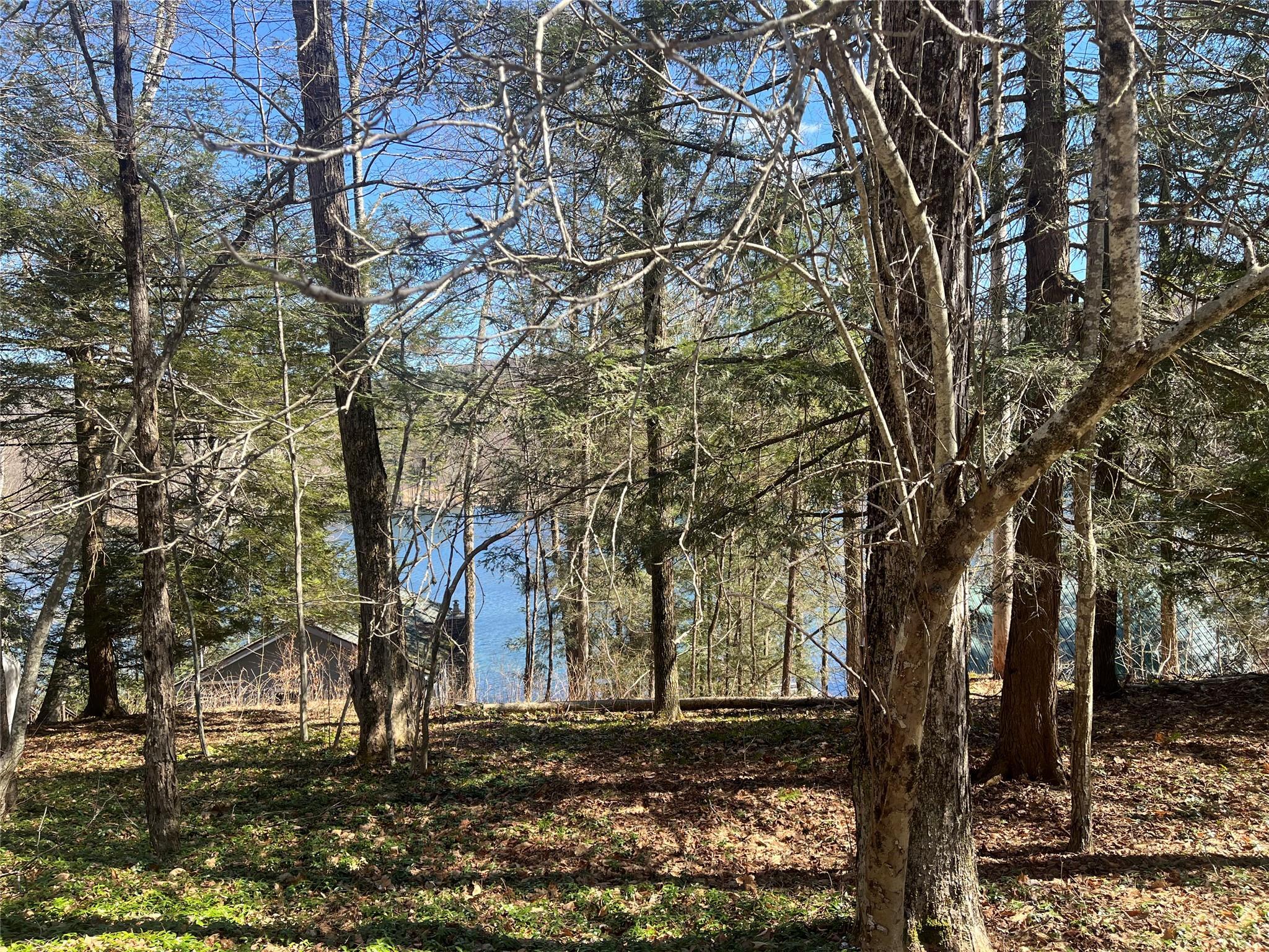 Single Family Mcnamee  Columbia County, NY 12029, MLS-815271-6