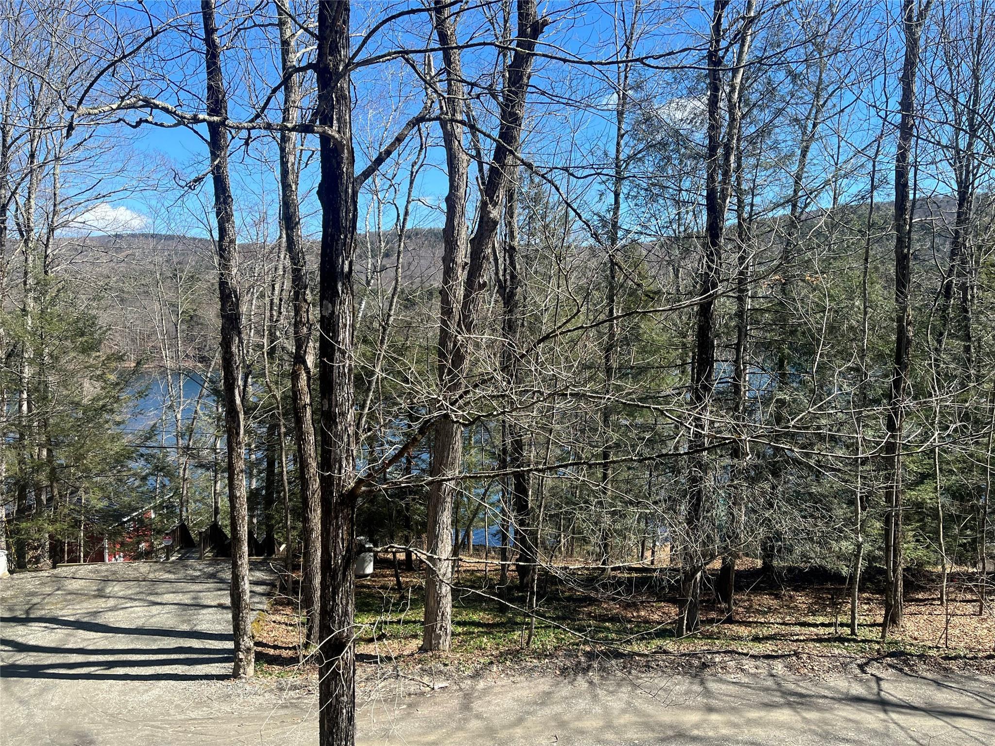 Single Family Mcnamee  Columbia County, NY 12029, MLS-815271-8