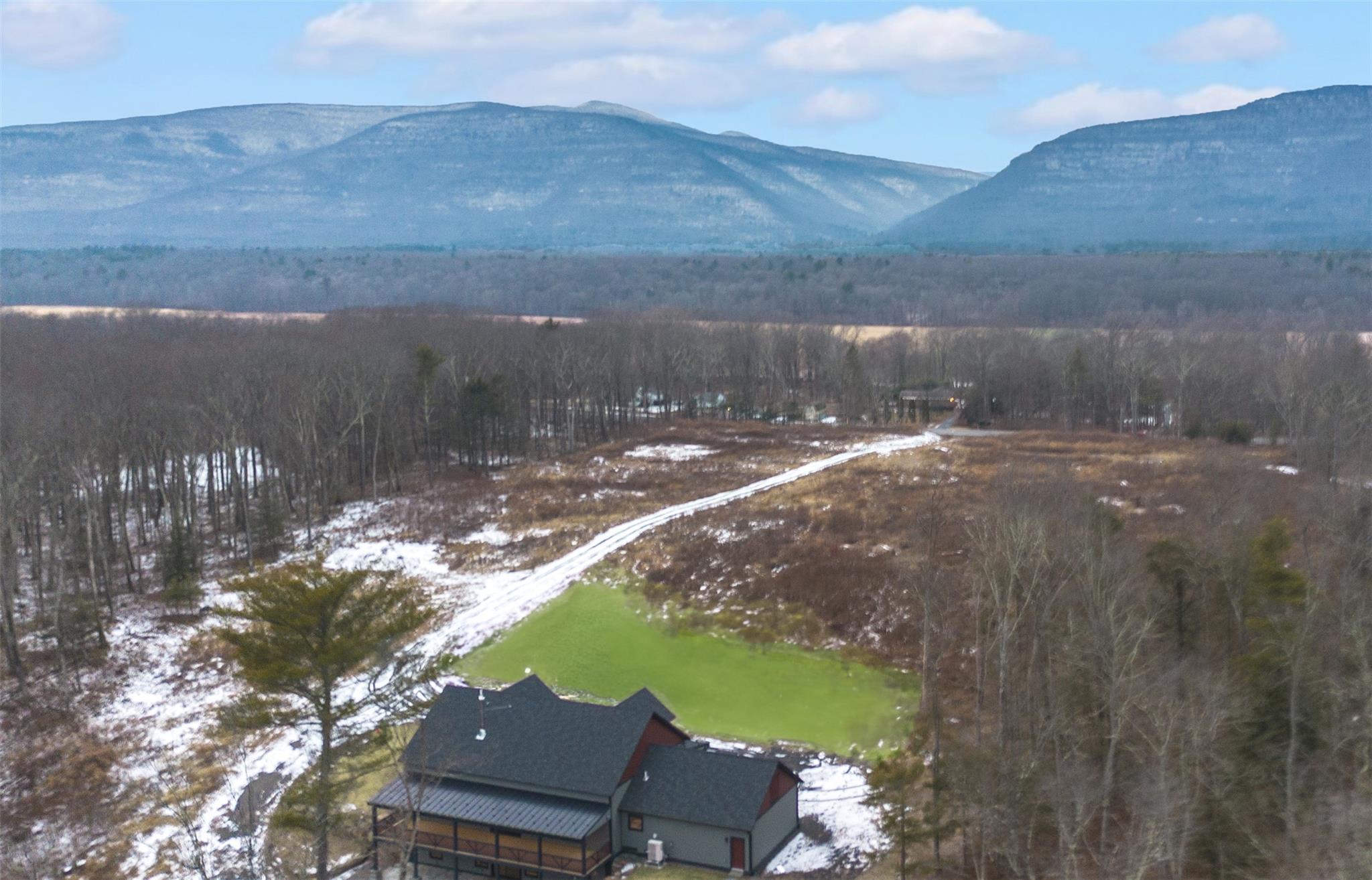 Single Family State Route 32  Greene County, NY 12414, MLS-815473-2