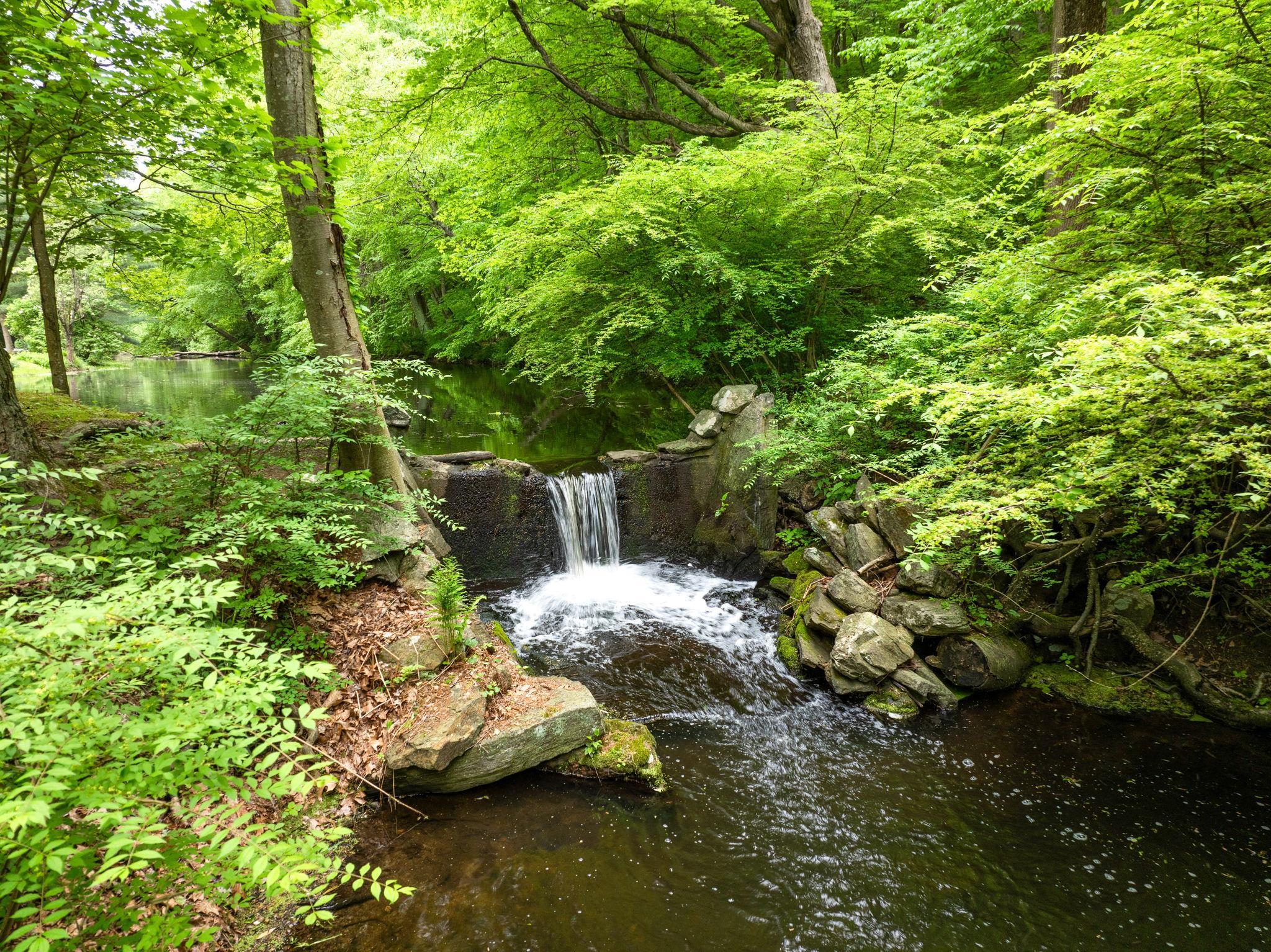 Single Family Armonk  Westchester County, NY 10549, MLS-815631-5