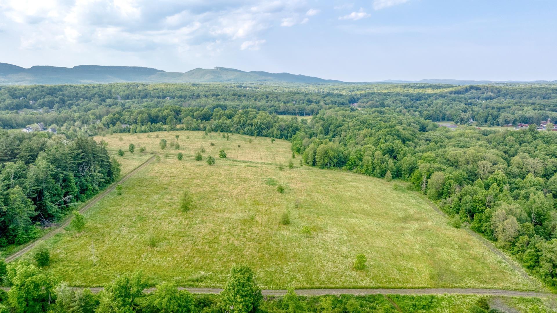 Single Family Albany Post  Ulster County, NY 12525, MLS-815640-48