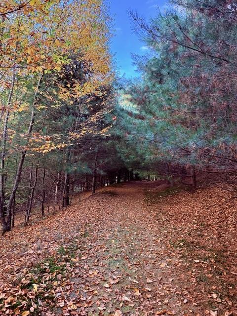Single Family Overlook  Sullivan County, NY 12723, MLS-815742-39