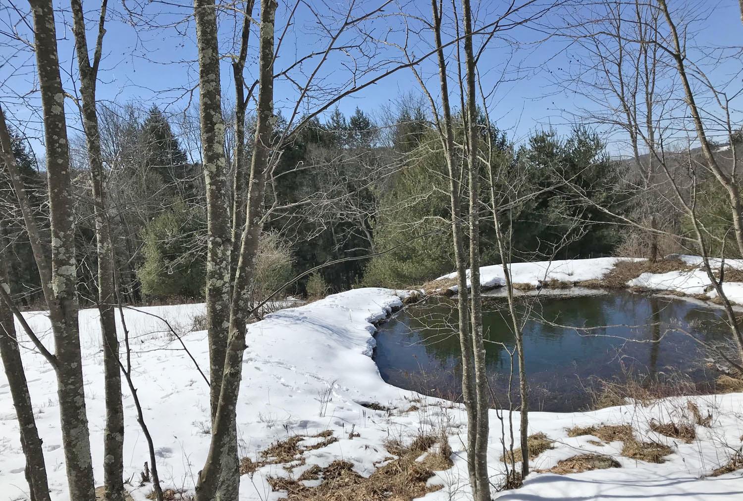 Single Family Overlook  Sullivan County, NY 12723, MLS-815742-40