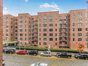 Coop Matthews  Bronx, NY 10462, MLS-815873-24