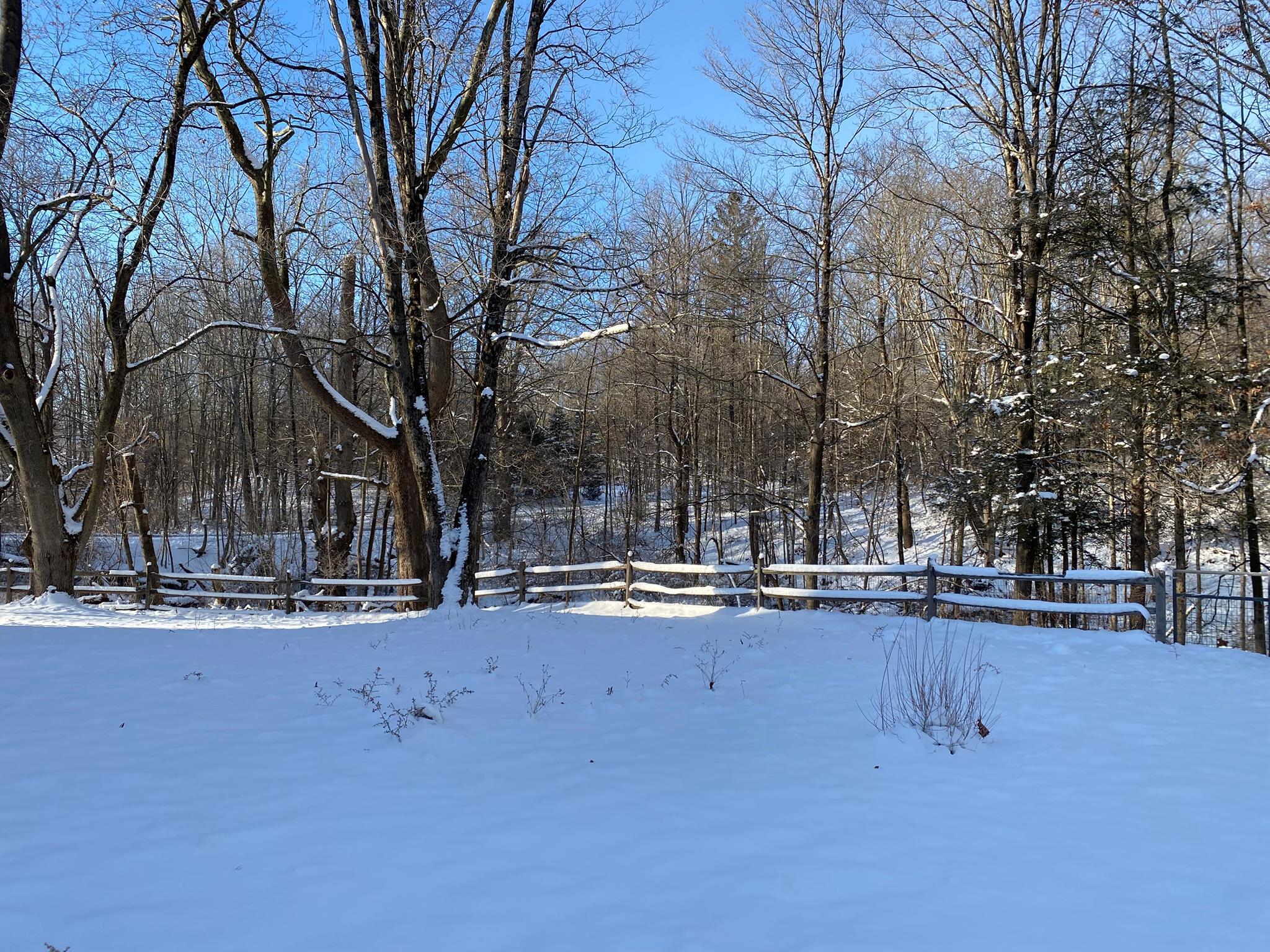Single Family Prospect  Dutchess County, NY 12501, MLS-816772-4