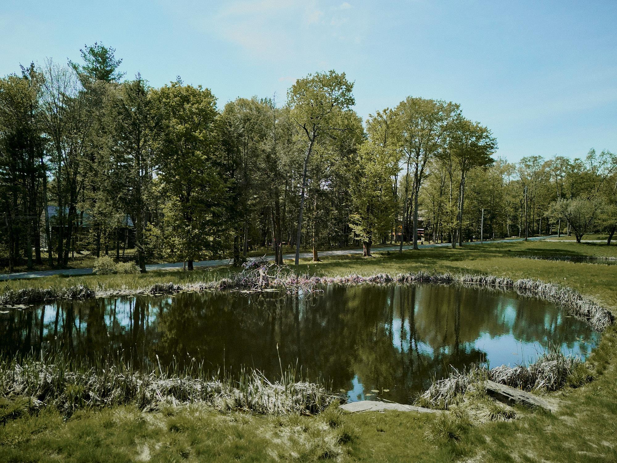 Single Family Perry  Sullivan County, NY 12783, MLS-816912-41
