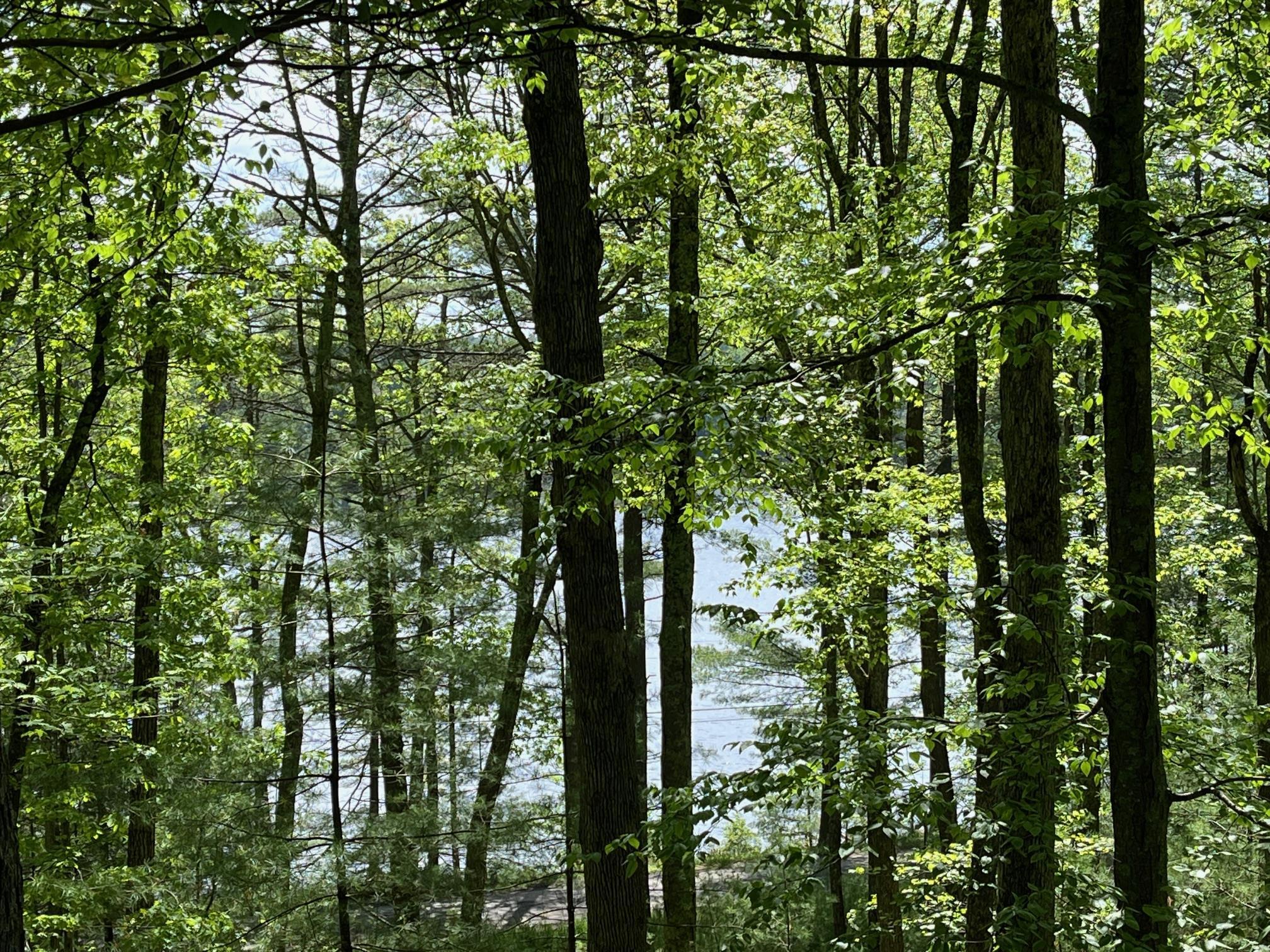 Single Family Barker  Sullivan County, NY 12737, MLS-816931-3