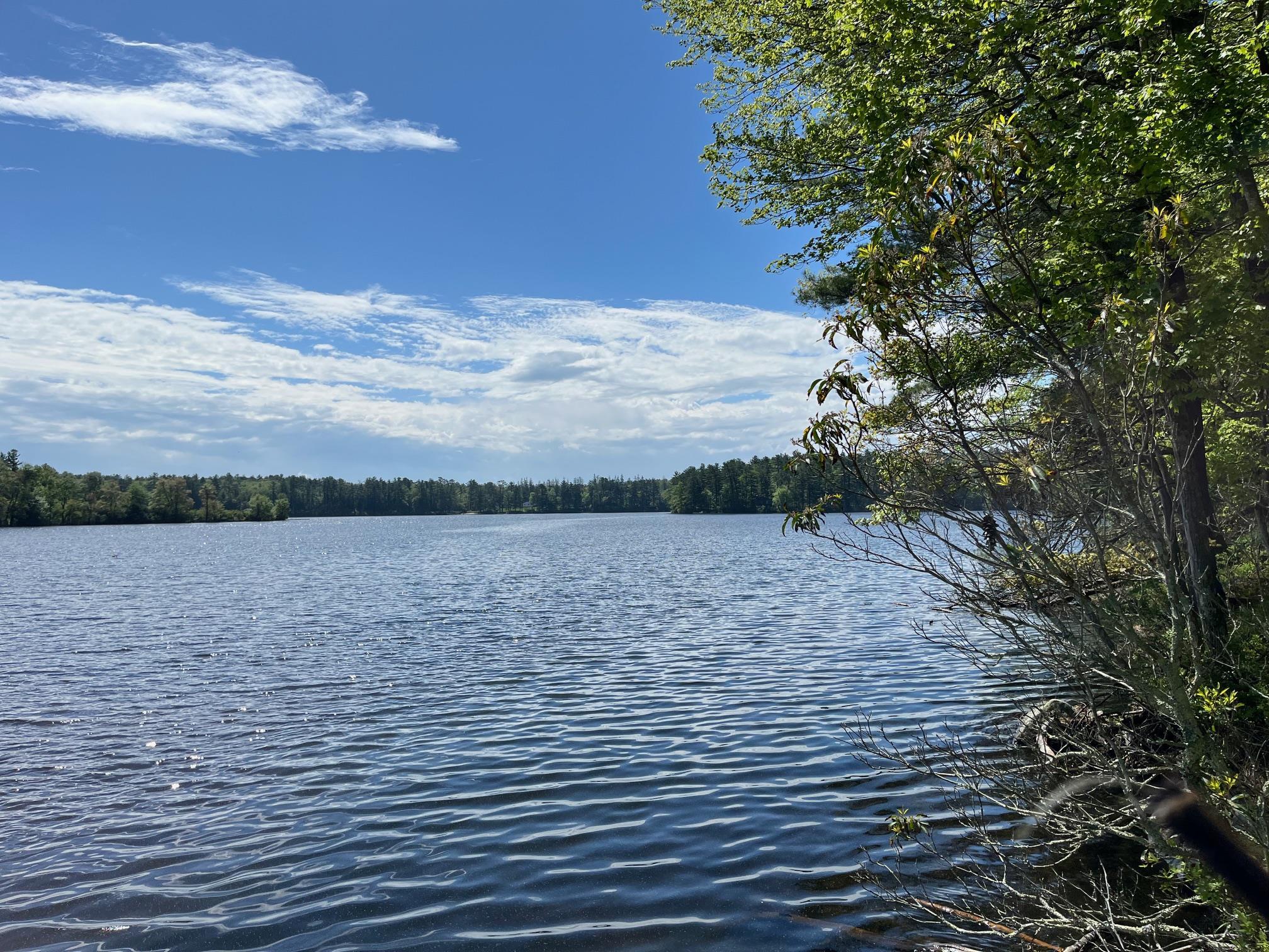 Single Family Barker  Sullivan County, NY 12737, MLS-816931-39