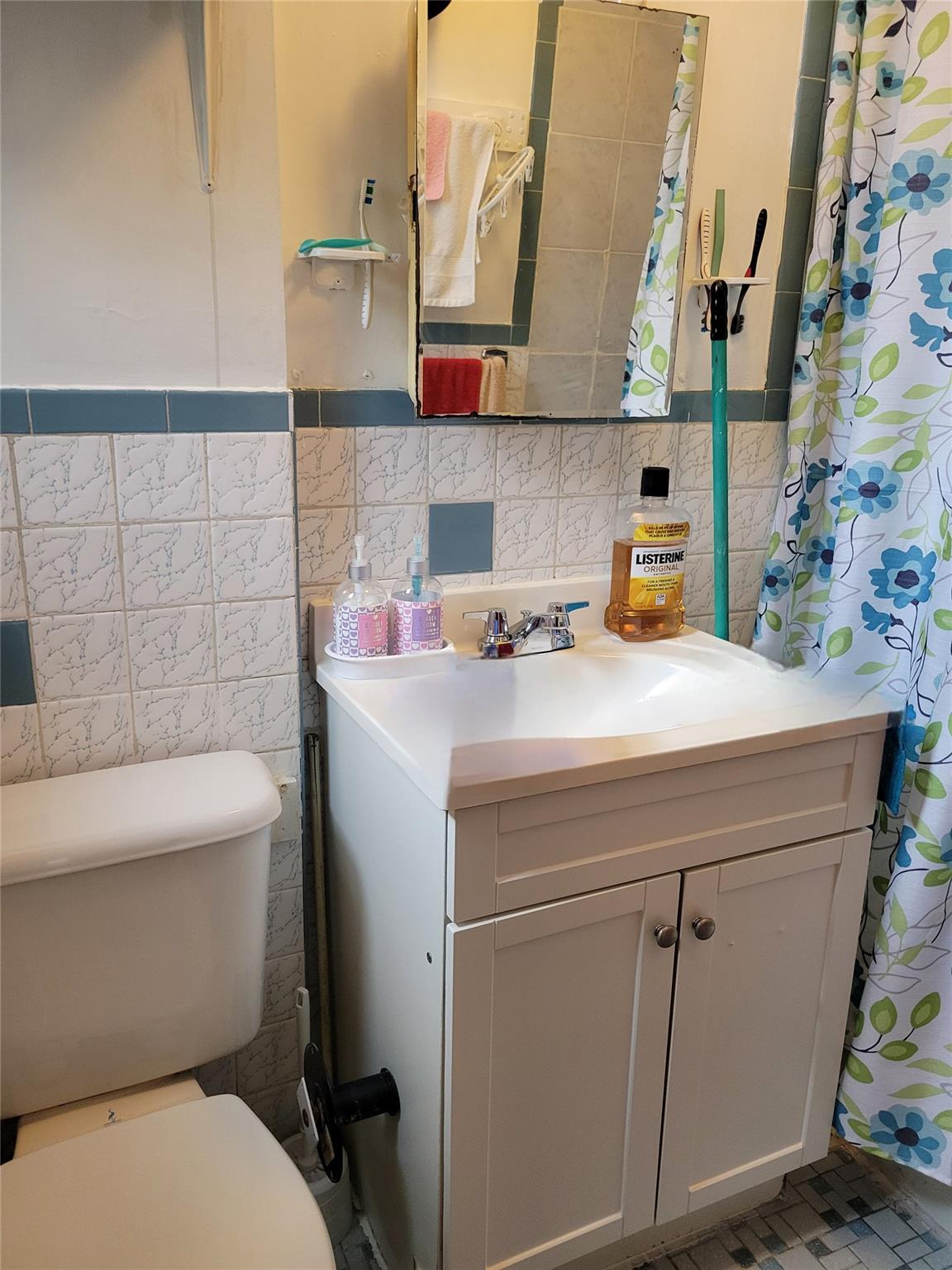 Single Family Cornelia  Queens, NY 11385, MLS-817157-13