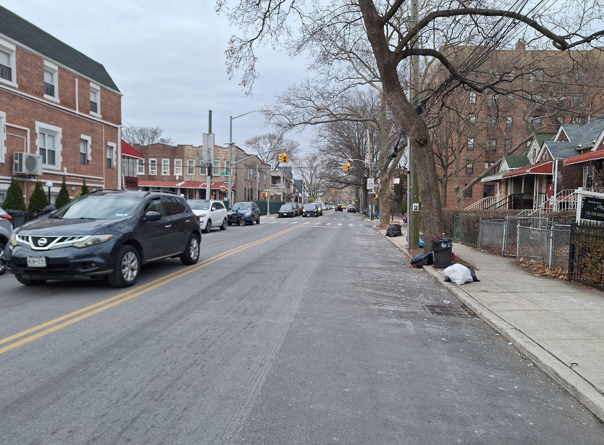 Single Family Lenox  Brooklyn, NY 11203, MLS-817474-3