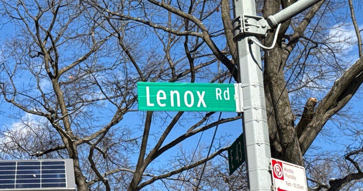 Single Family Lenox  Brooklyn, NY 11203, MLS-817474-4