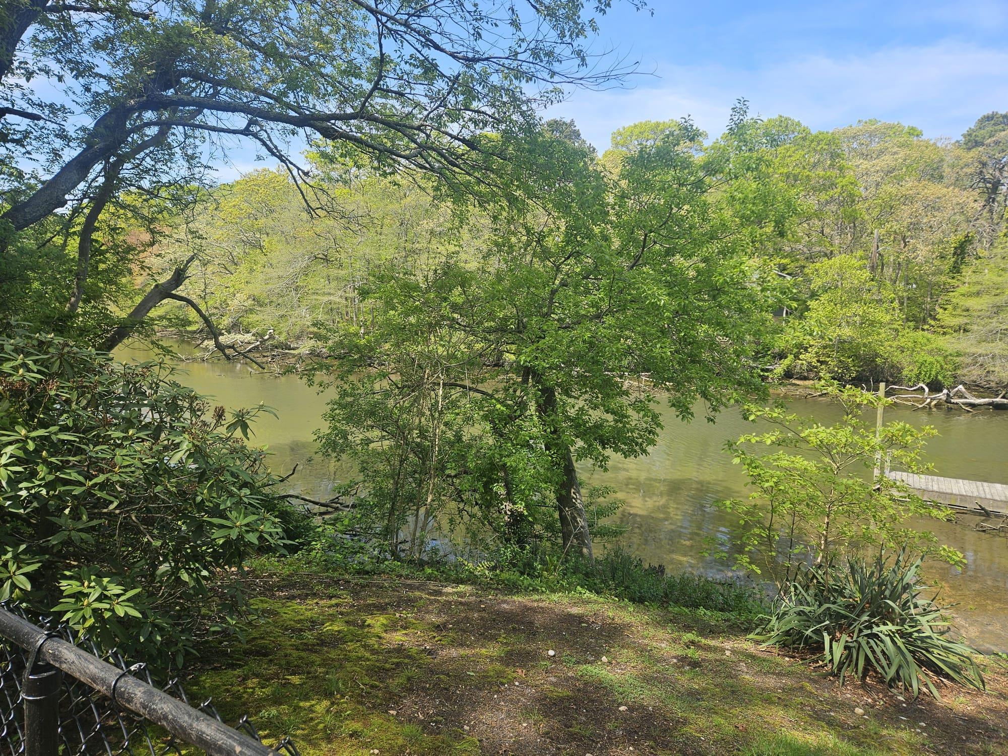 Single Family Overlook  Suffolk County, NY 11950, MLS-817893-8