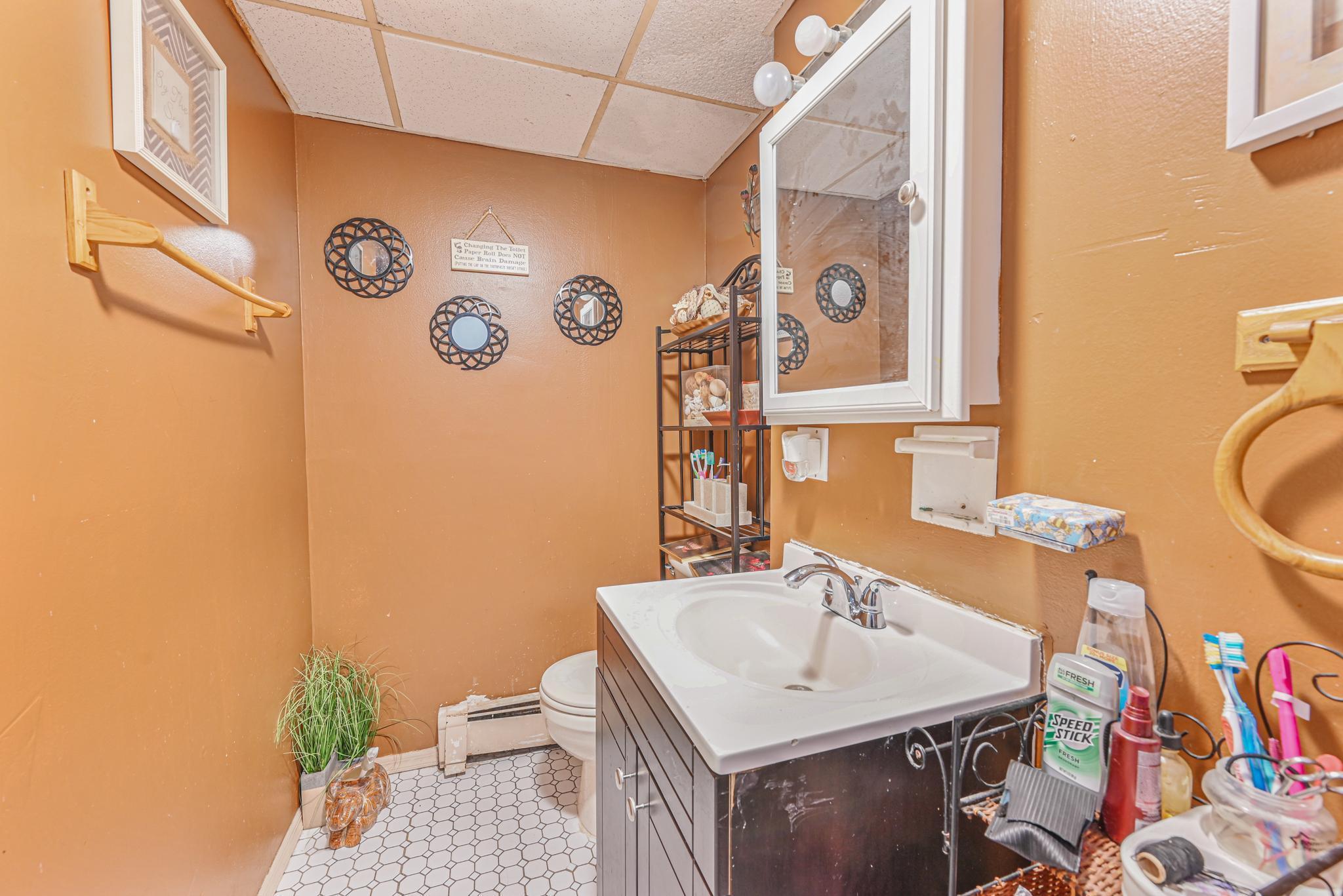 Single Family Pine  Nassau County, NY 11561, MLS-817997-19