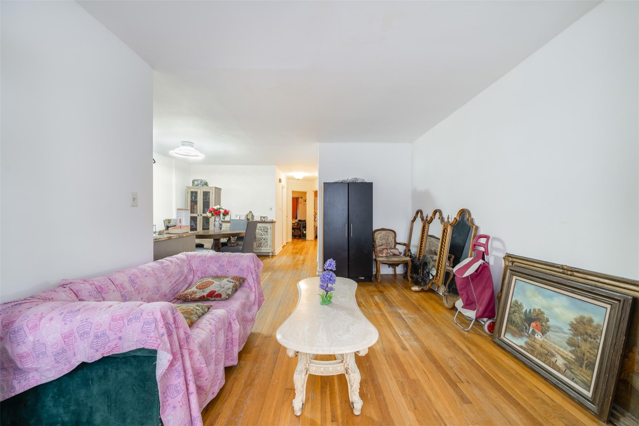 Single Family 69  Queens, NY 11379, MLS-818572-20