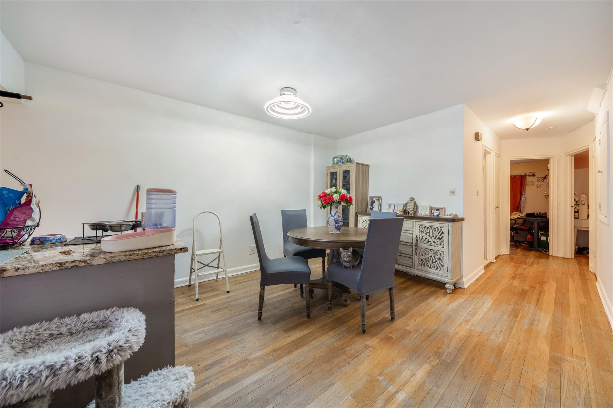 Single Family 69  Queens, NY 11379, MLS-818572-21