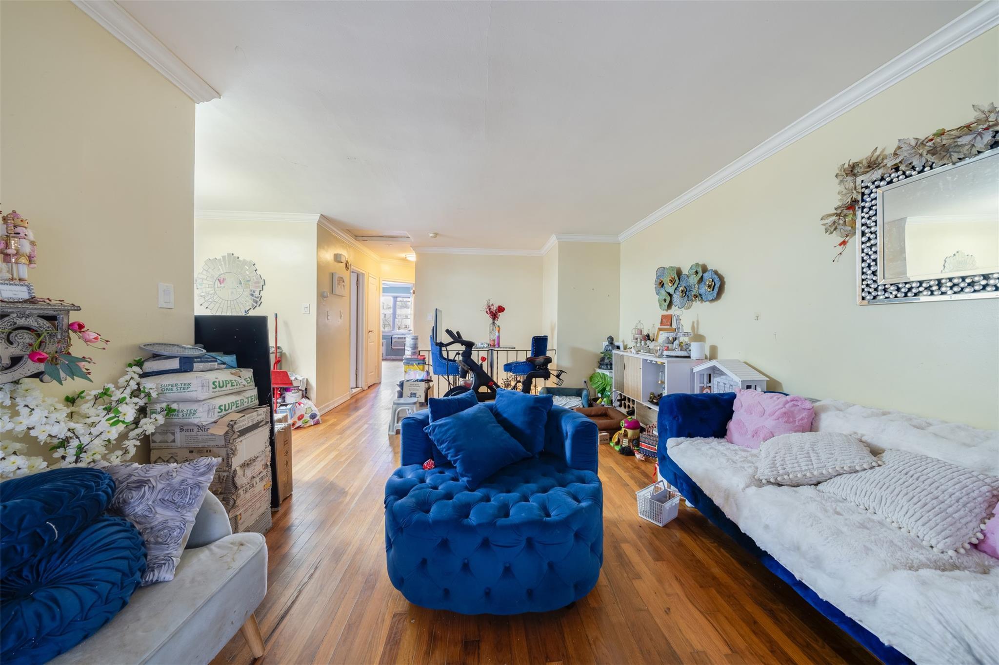 Single Family 69  Queens, NY 11379, MLS-818572-3