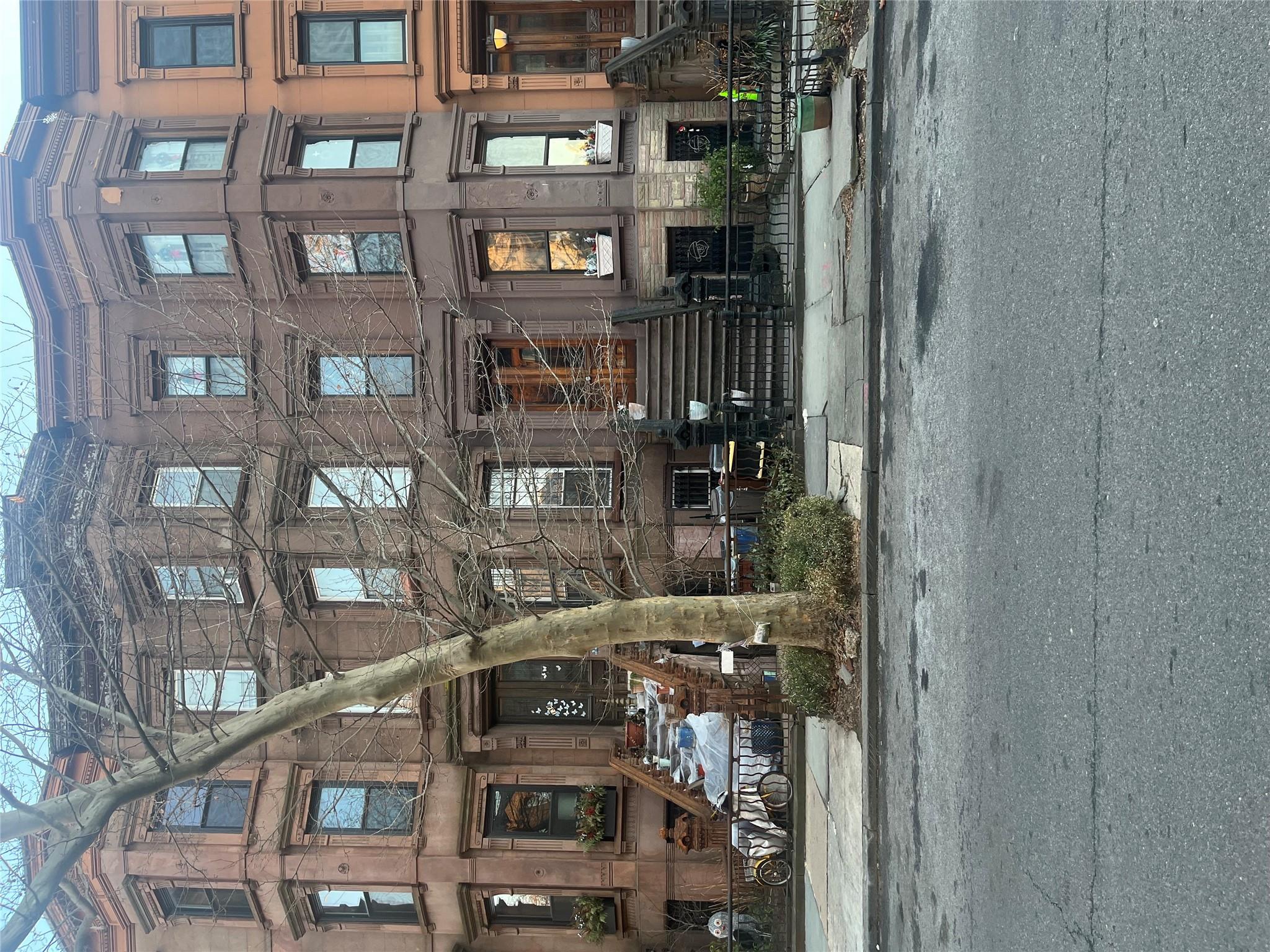 Single Family Macdonough  Brooklyn, NY 11216, MLS-818872-2