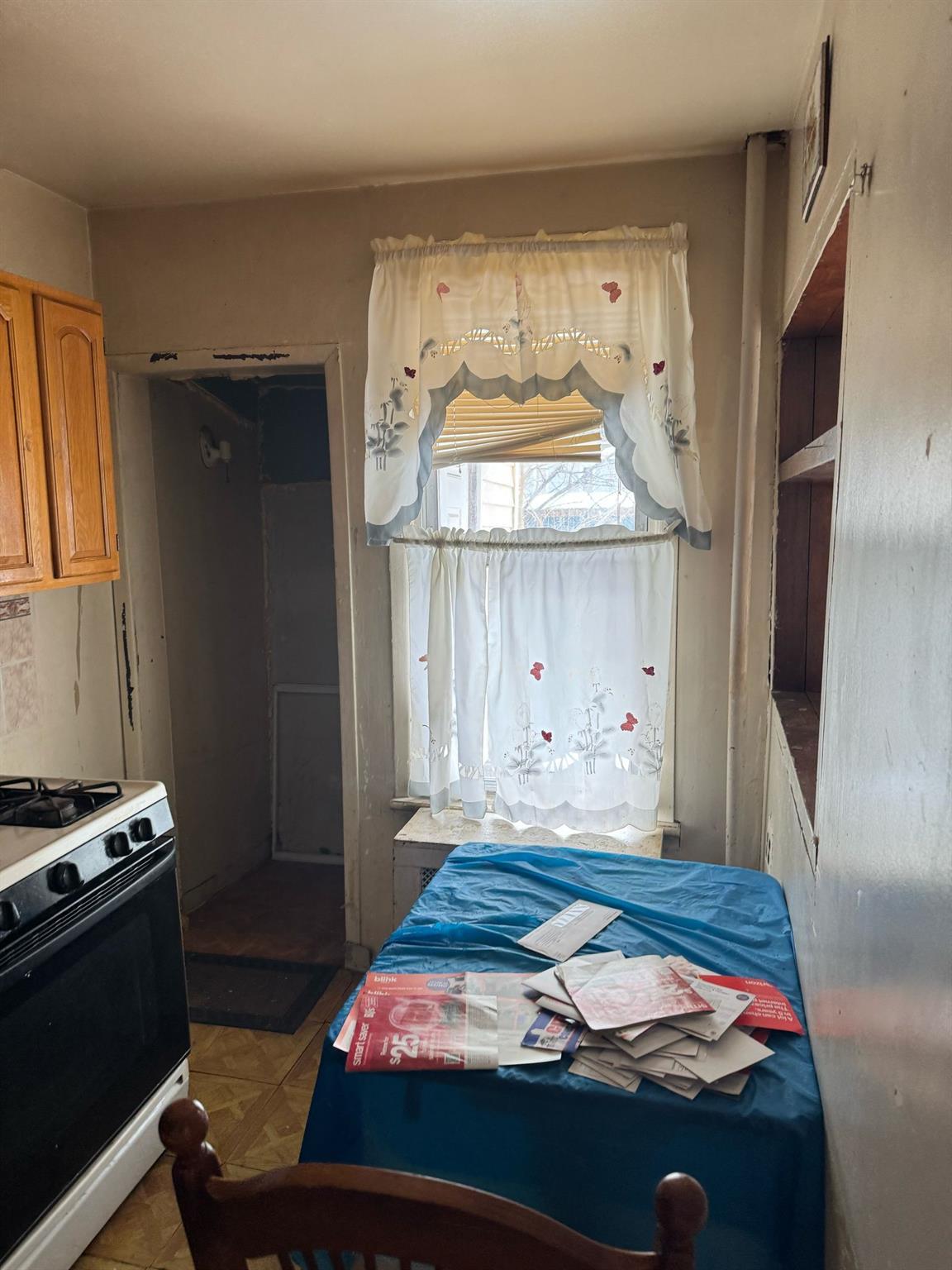 Single Family 96th  Brooklyn, NY 11236, MLS-819127-2