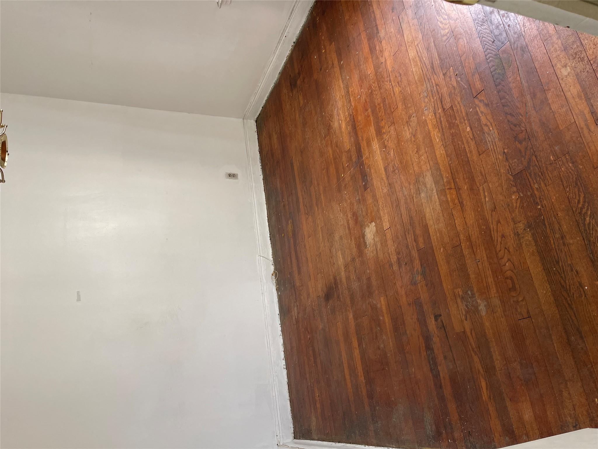 Single Family Dewitt  Nassau County, NY 11580, MLS-819666-16