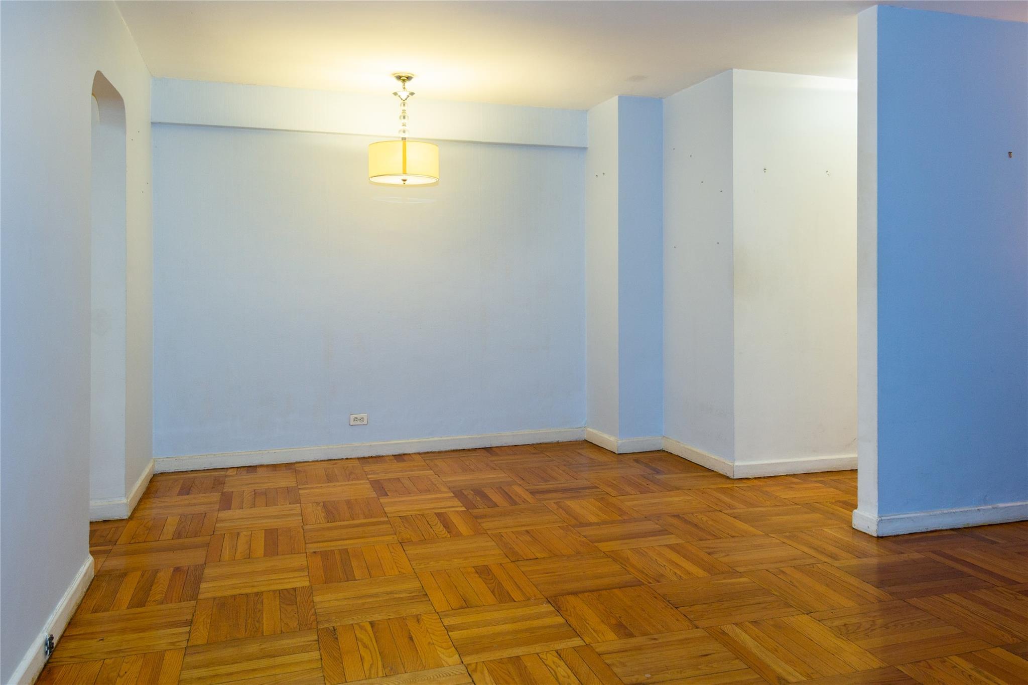 Coop 113  Queens, NY 11375, MLS-820591-9