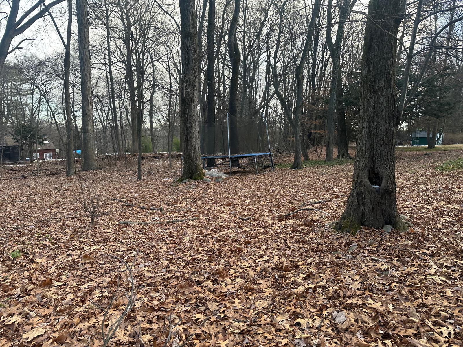 Single Family Tice  Rockland County, NY 10977, MLS-821046-8