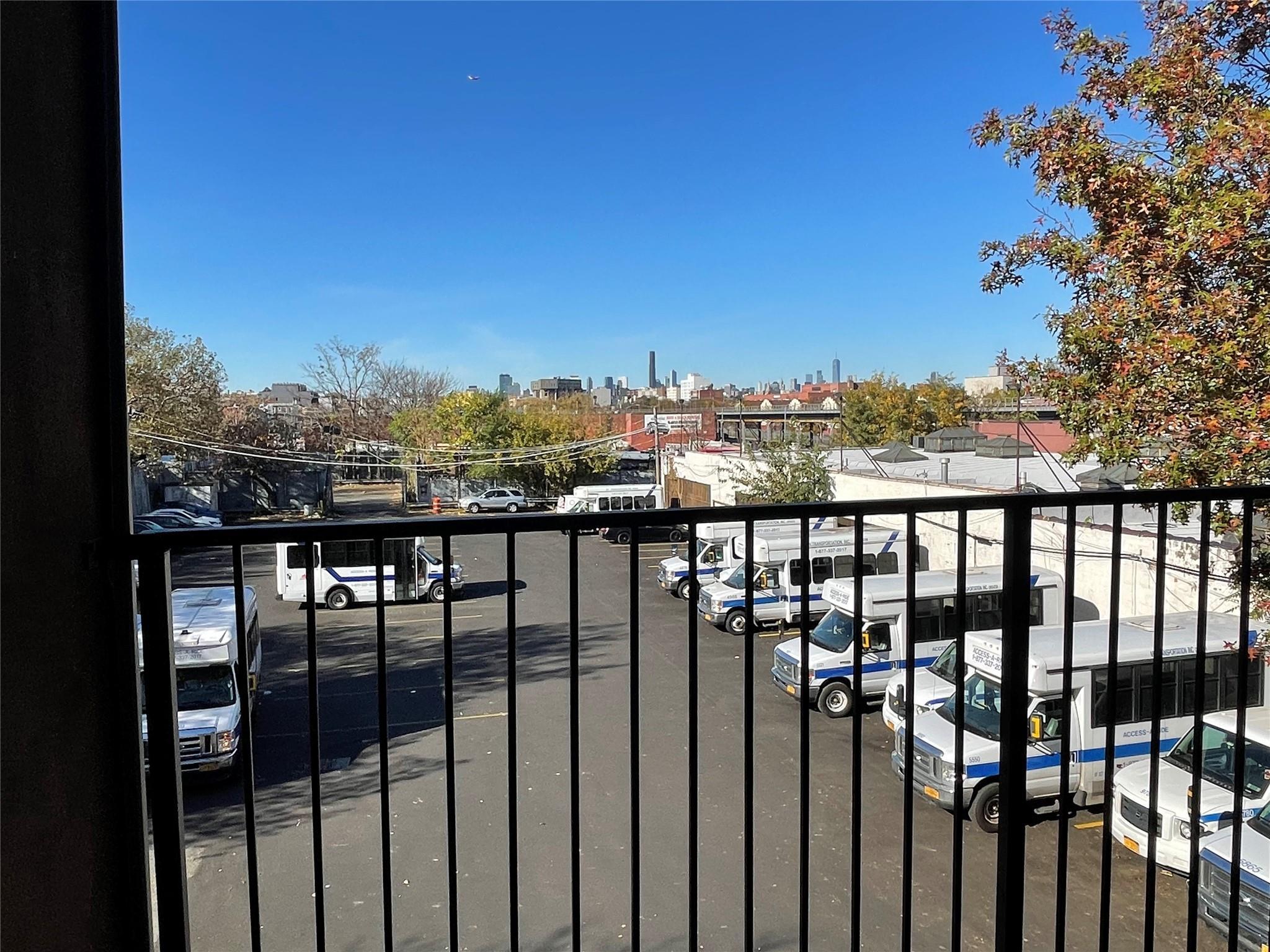 Single Family Pacific  Brooklyn, NY 11233, MLS-821166-10