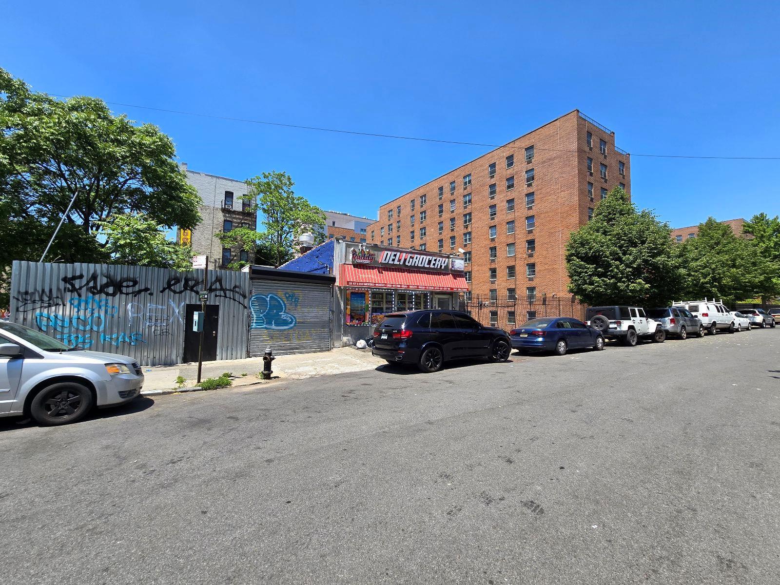 Commercial Sale Crimmins  Bronx, NY 10454, MLS-821306-3