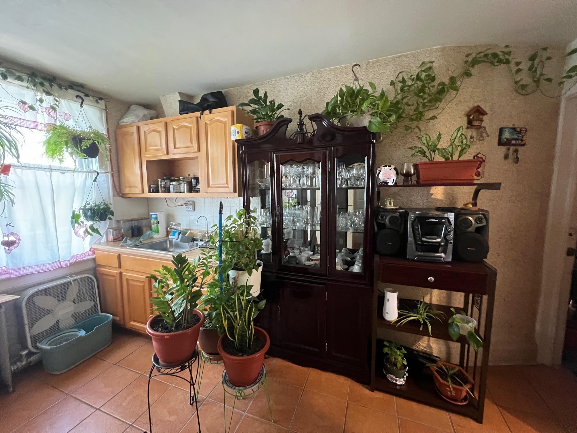 Single Family Lakewood  Queens, NY 11435, MLS-822287-4