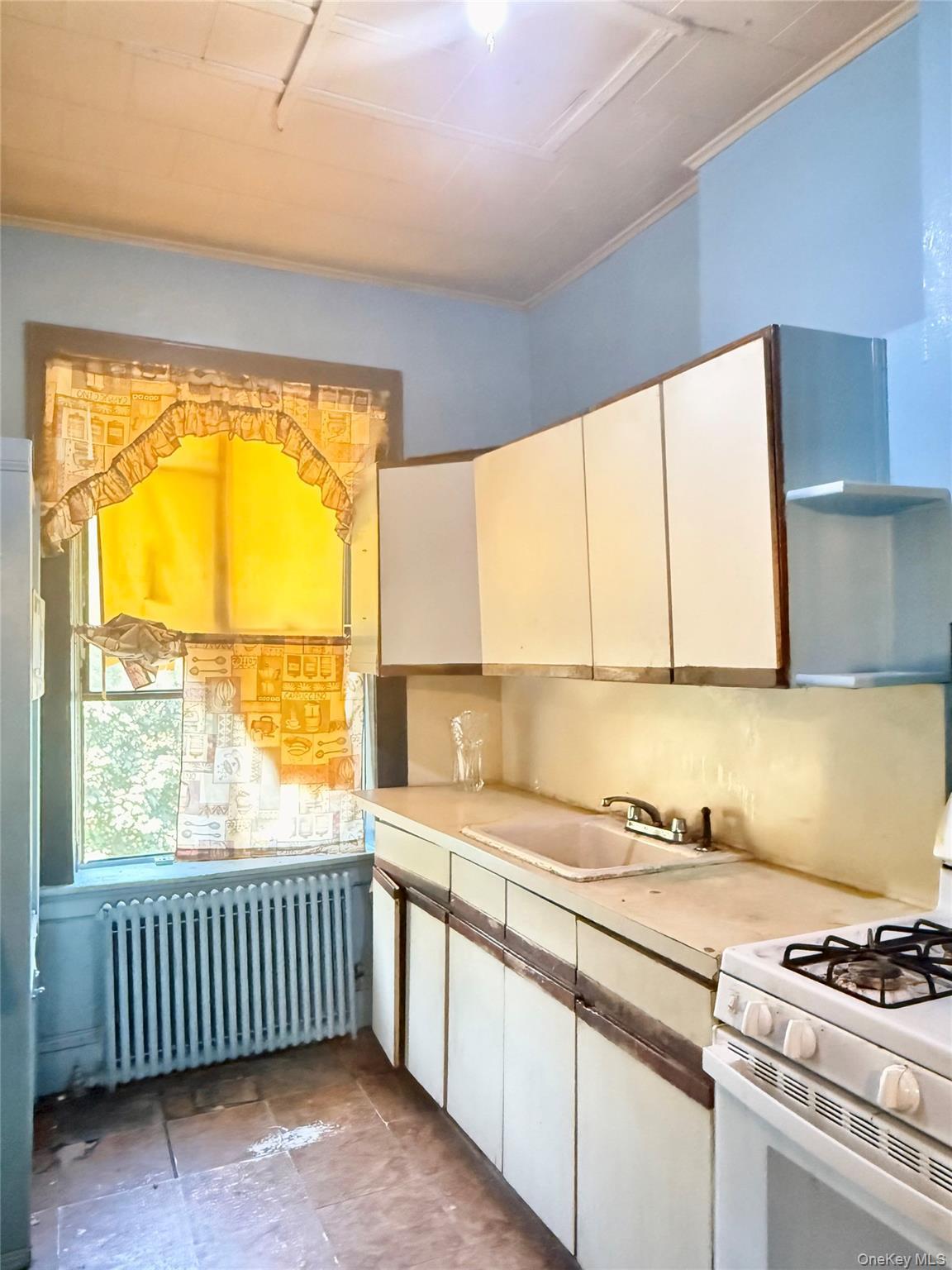 Single Family Jamaica Ave  Queens, NY 11421, MLS-822447-6