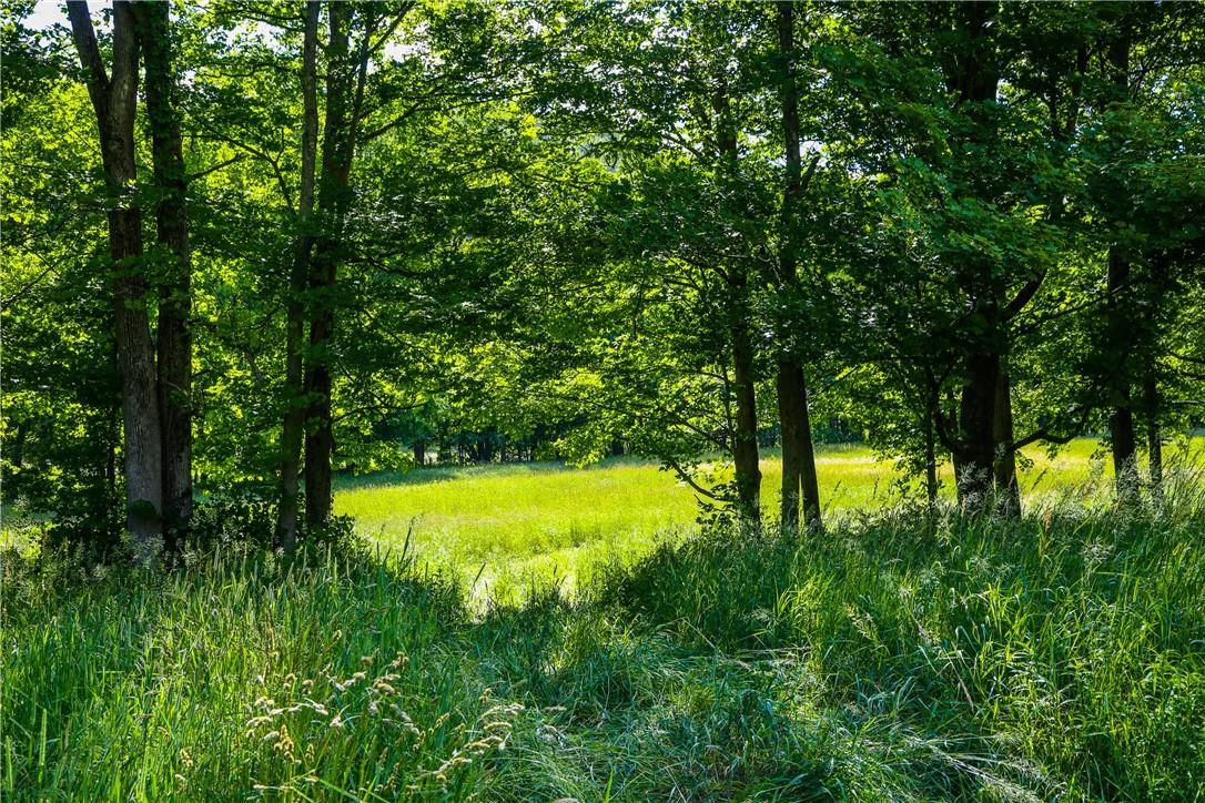 Single Family Route 199  Dutchess County, NY 12546, MLS-822476-19