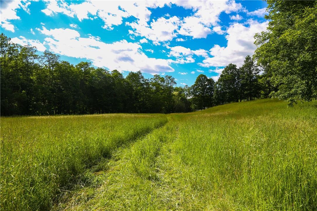 Single Family Route 199  Dutchess County, NY 12546, MLS-822476-20