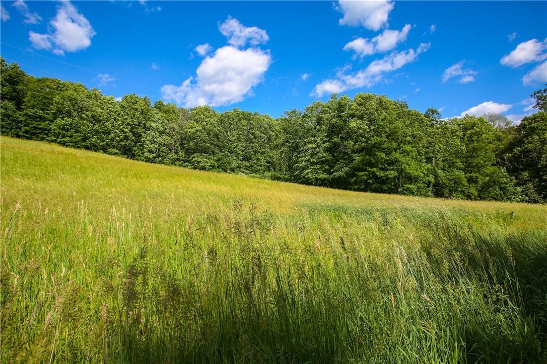 Single Family Route 199  Dutchess County, NY 12546, MLS-822476-22