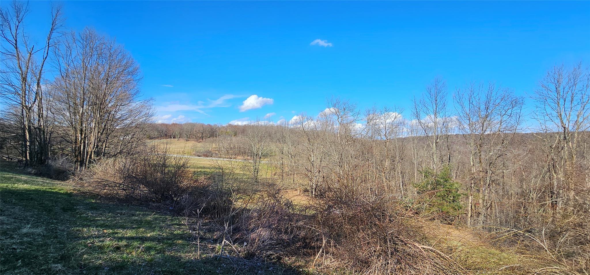 Single Family Hessinger Lare Road  Sullivan County, NY 12748, MLS-822876-40