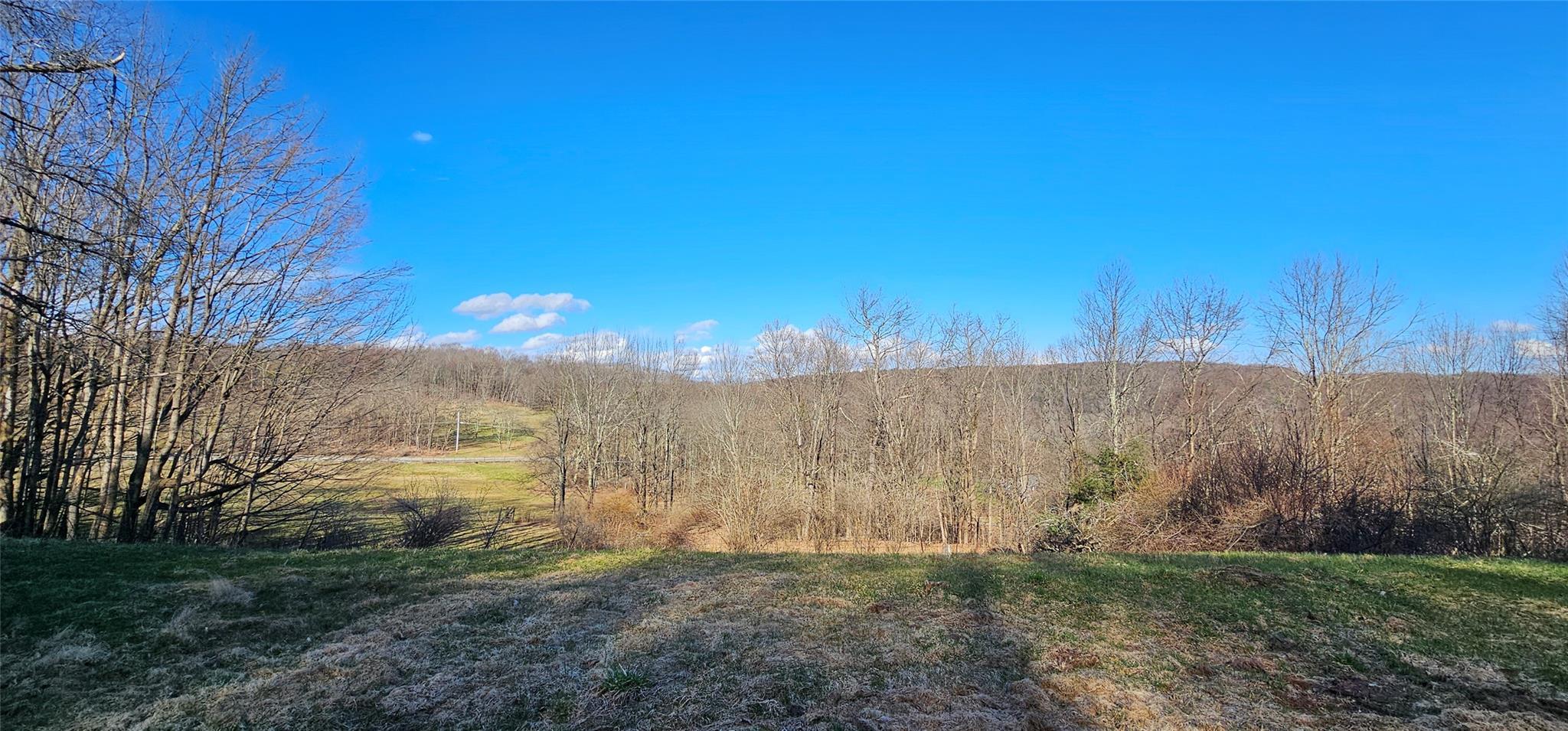 Single Family Hessinger Lare Road  Sullivan County, NY 12748, MLS-822876-44