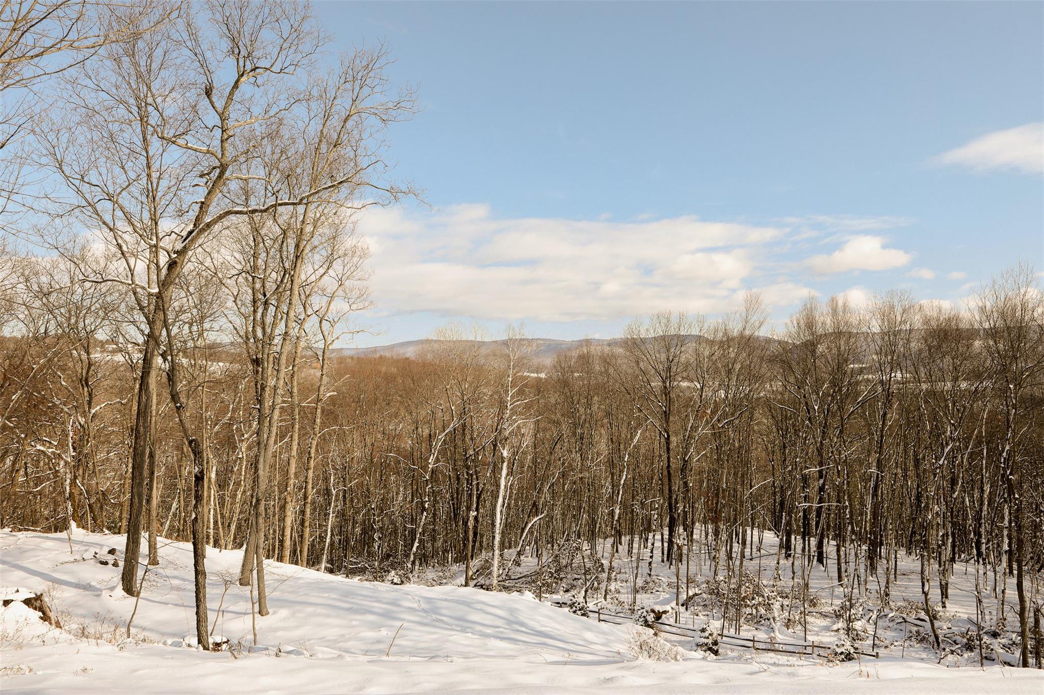 Single Family Sky Top  Columbia County, NY 12516, MLS-823302-37