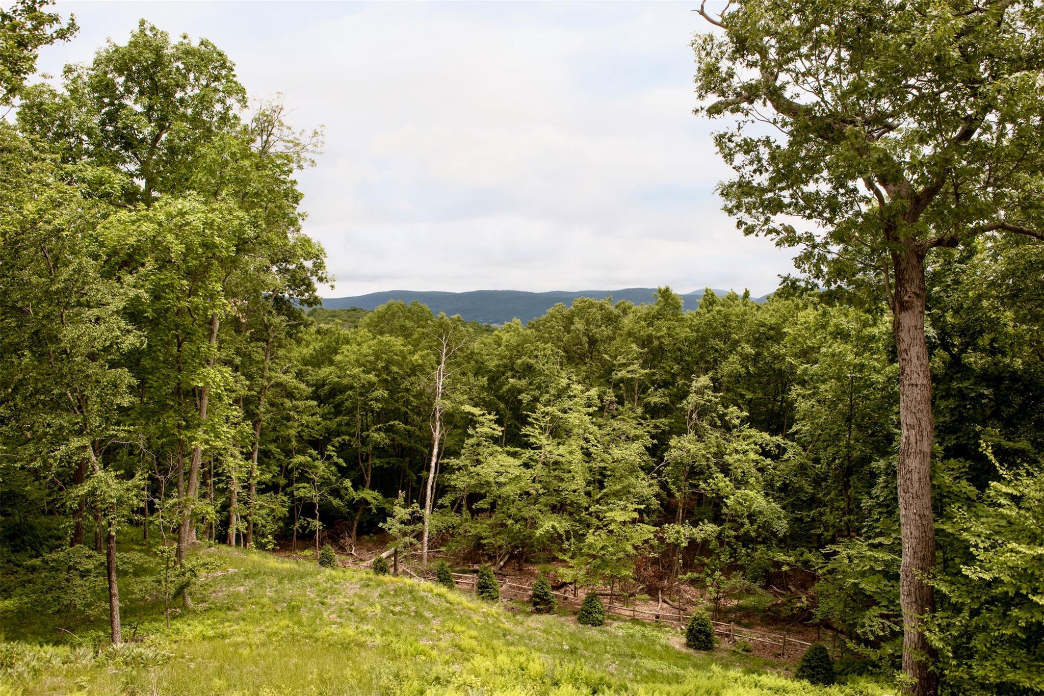 Single Family Sky Top  Columbia County, NY 12516, MLS-823302-41