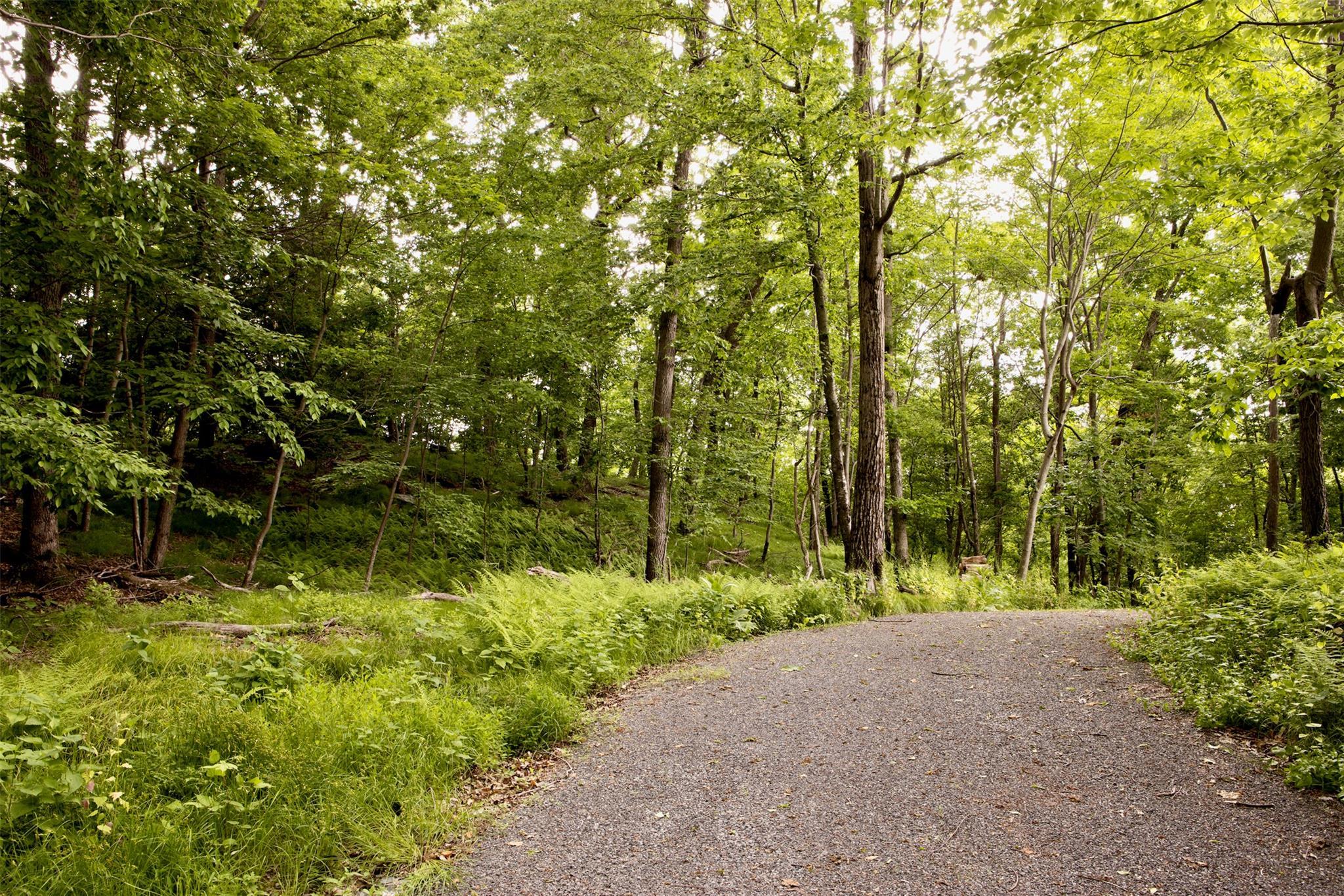Single Family Sky Top  Columbia County, NY 12516, MLS-823302-42