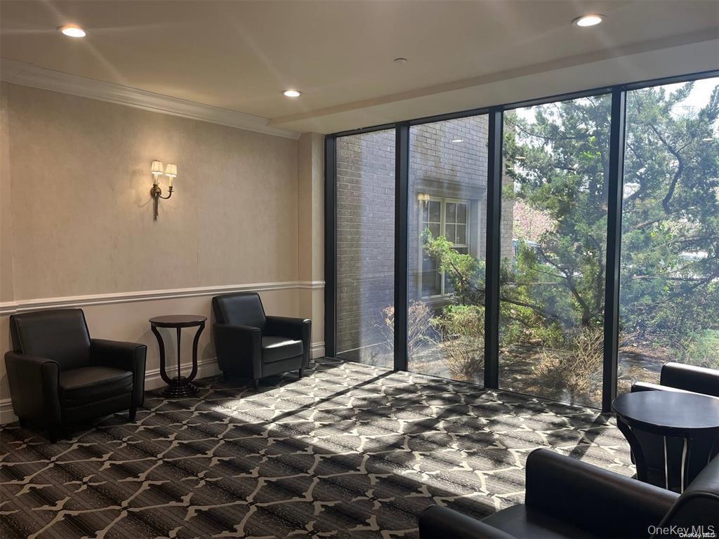 Condo Central  Nassau County, NY 11559, MLS-823351-8