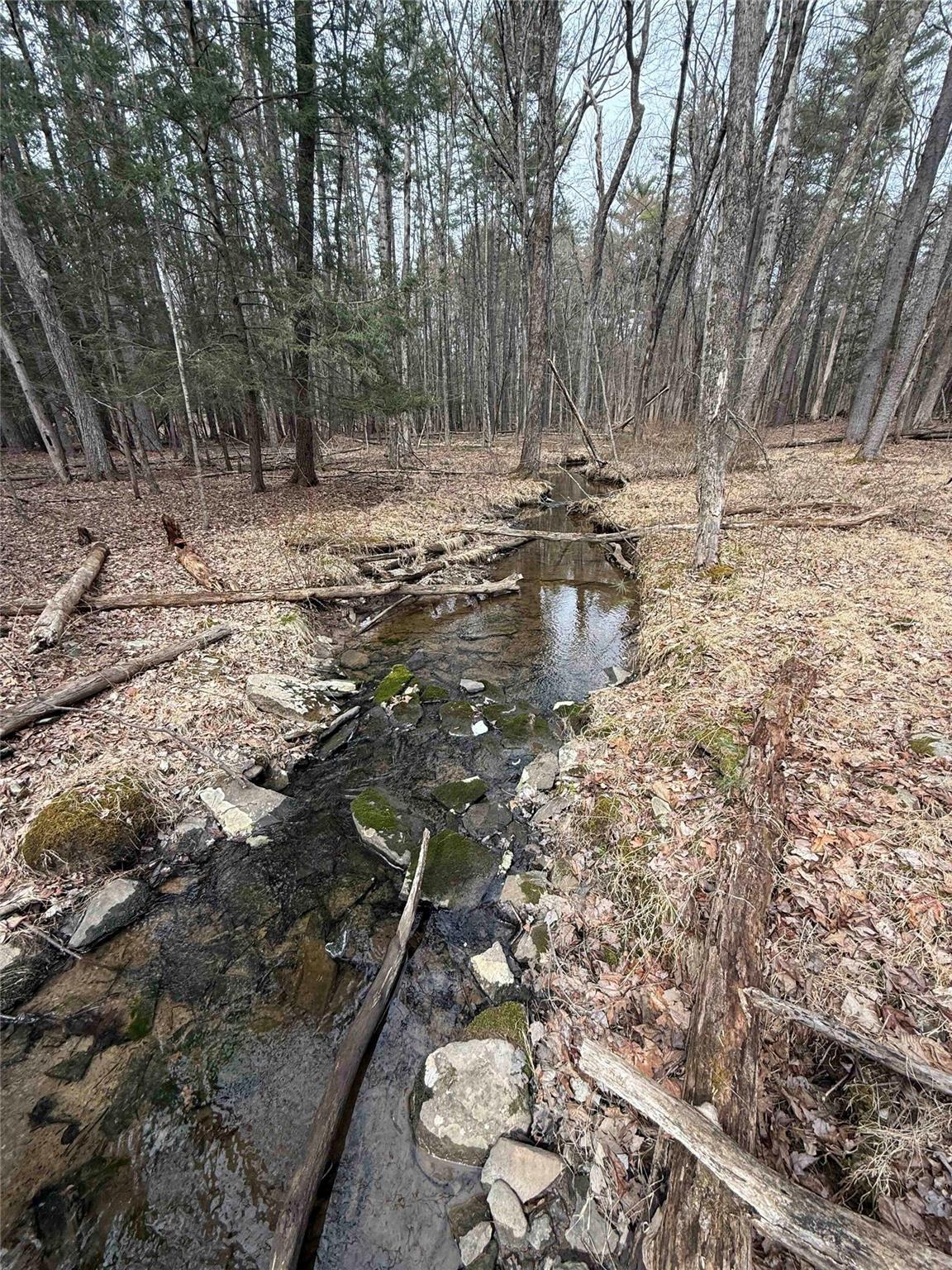 Single Family Baumgarten  Ulster County, NY 12498, MLS-823459-28