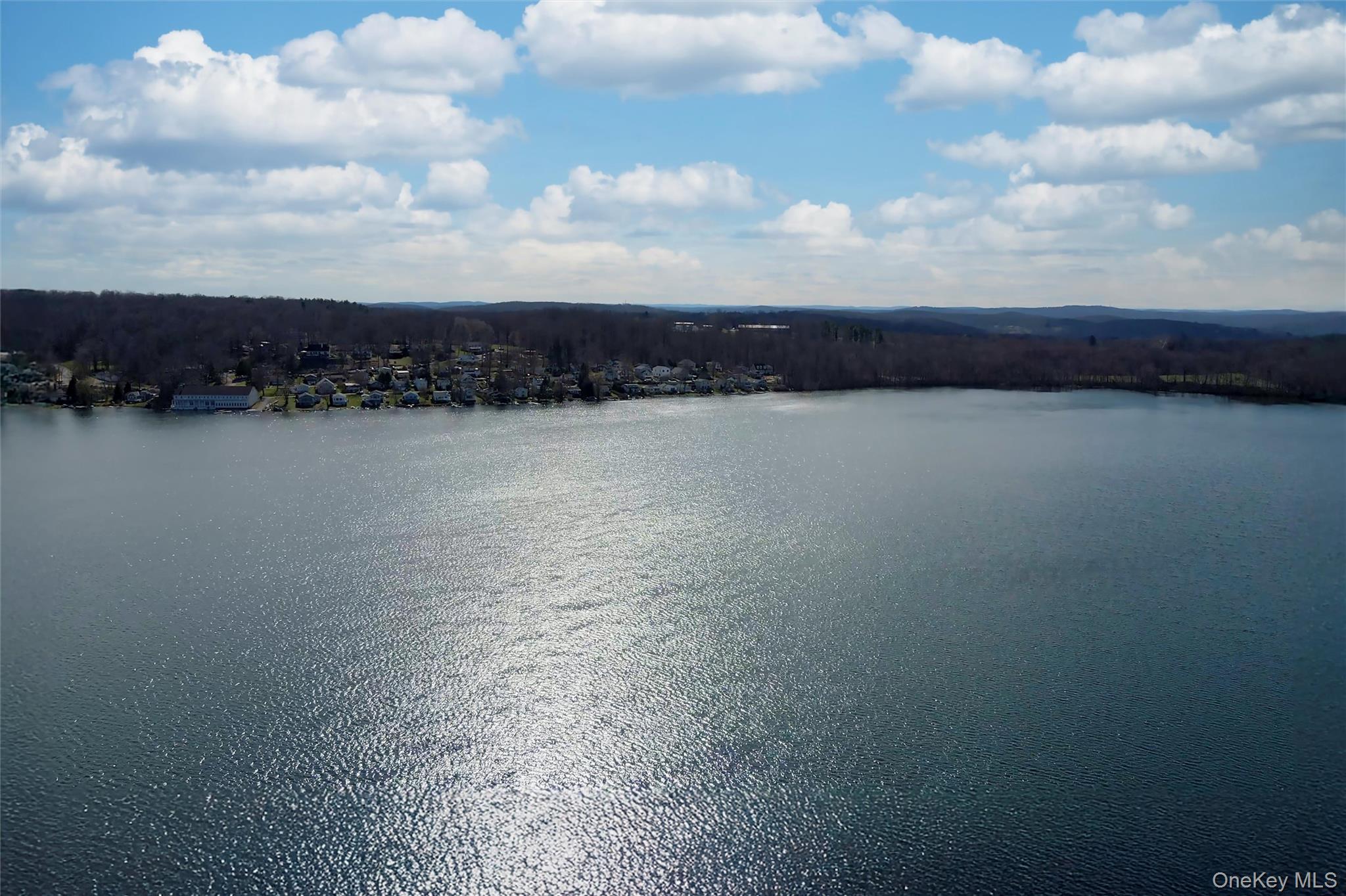 Single Family Peach Lake Westchester County, NY 10560, MLS-823499-49