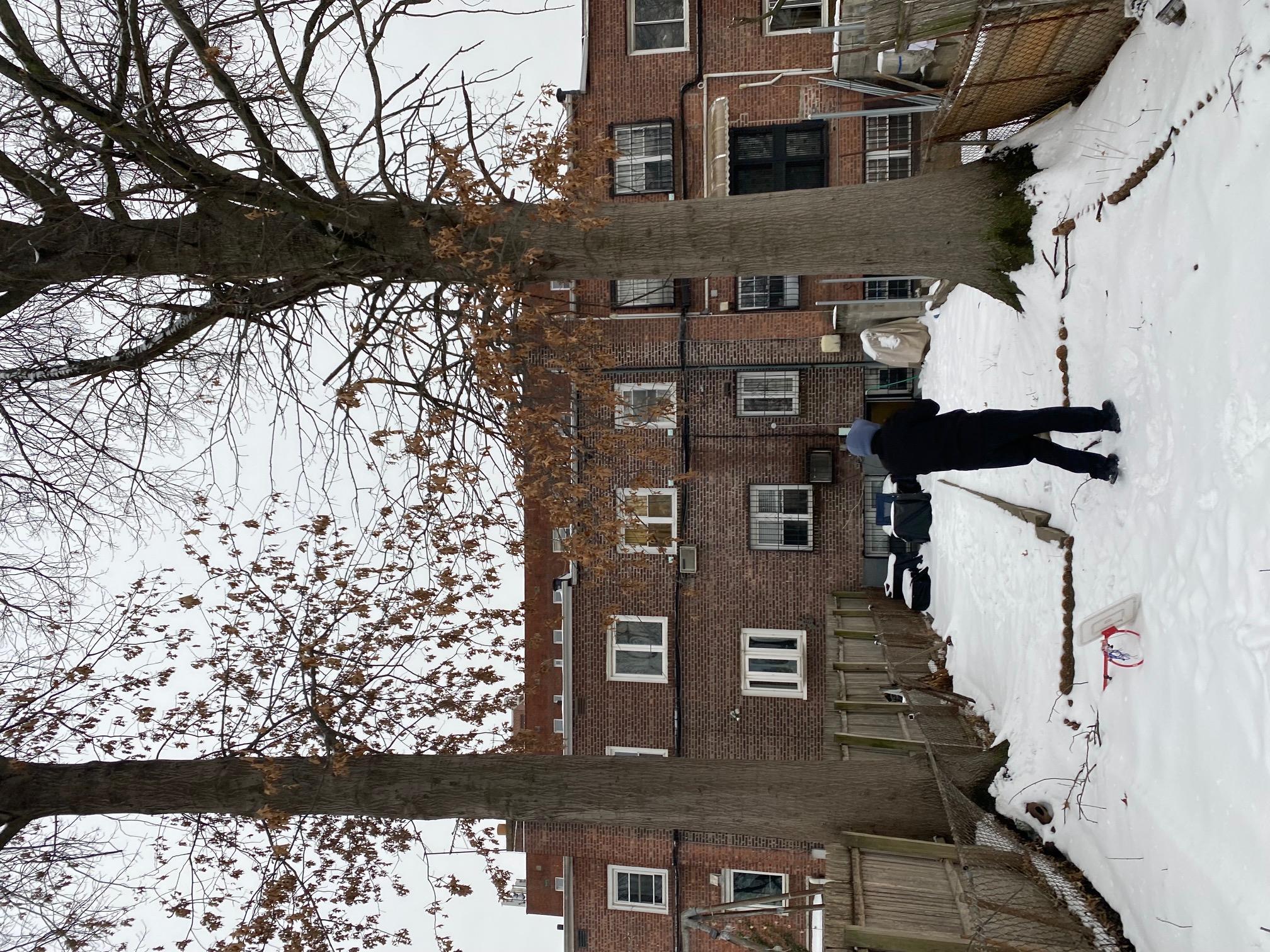 Single Family Alderton Street  Queens, NY 11374, MLS-823530-6