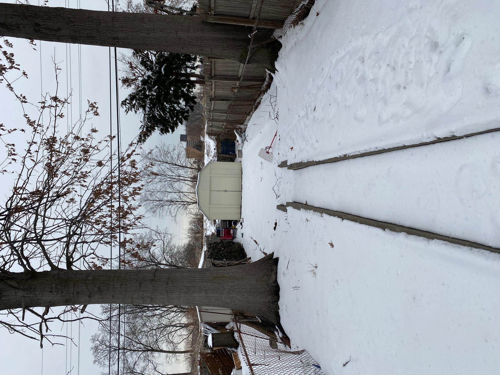 Single Family Alderton Street  Queens, NY 11374, MLS-823530-7