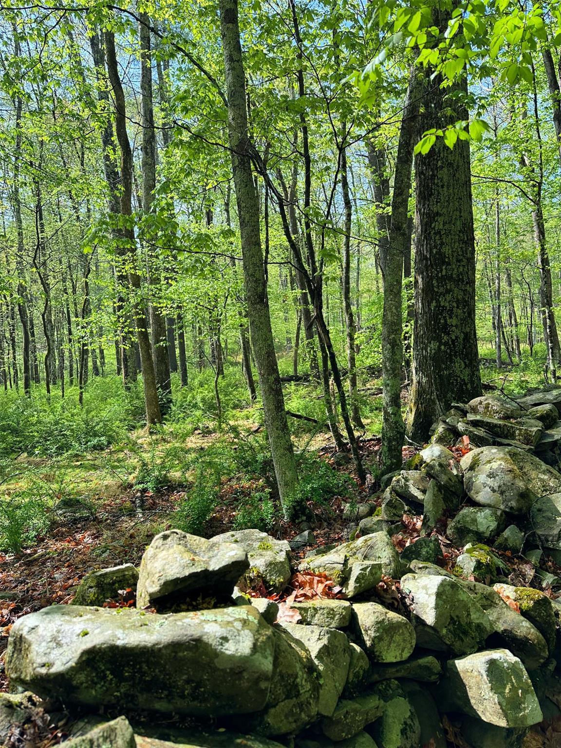 Single Family Narrow  Ulster County, NY 12401, MLS-823588-41