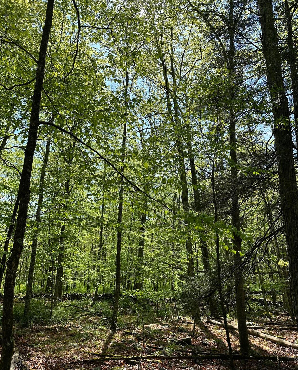 Single Family Narrow  Ulster County, NY 12401, MLS-823588-42