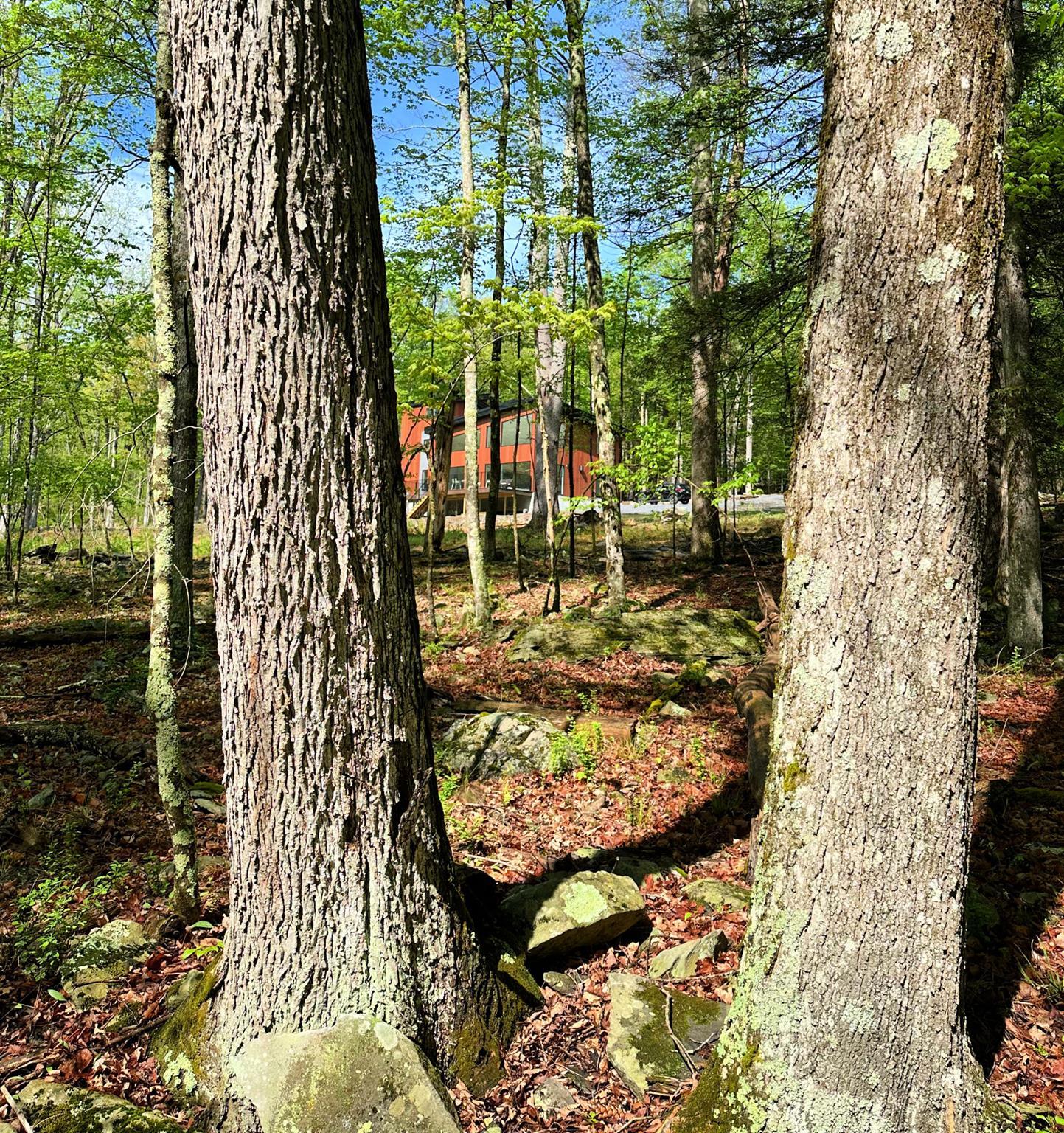 Single Family Narrow  Ulster County, NY 12401, MLS-823588-43