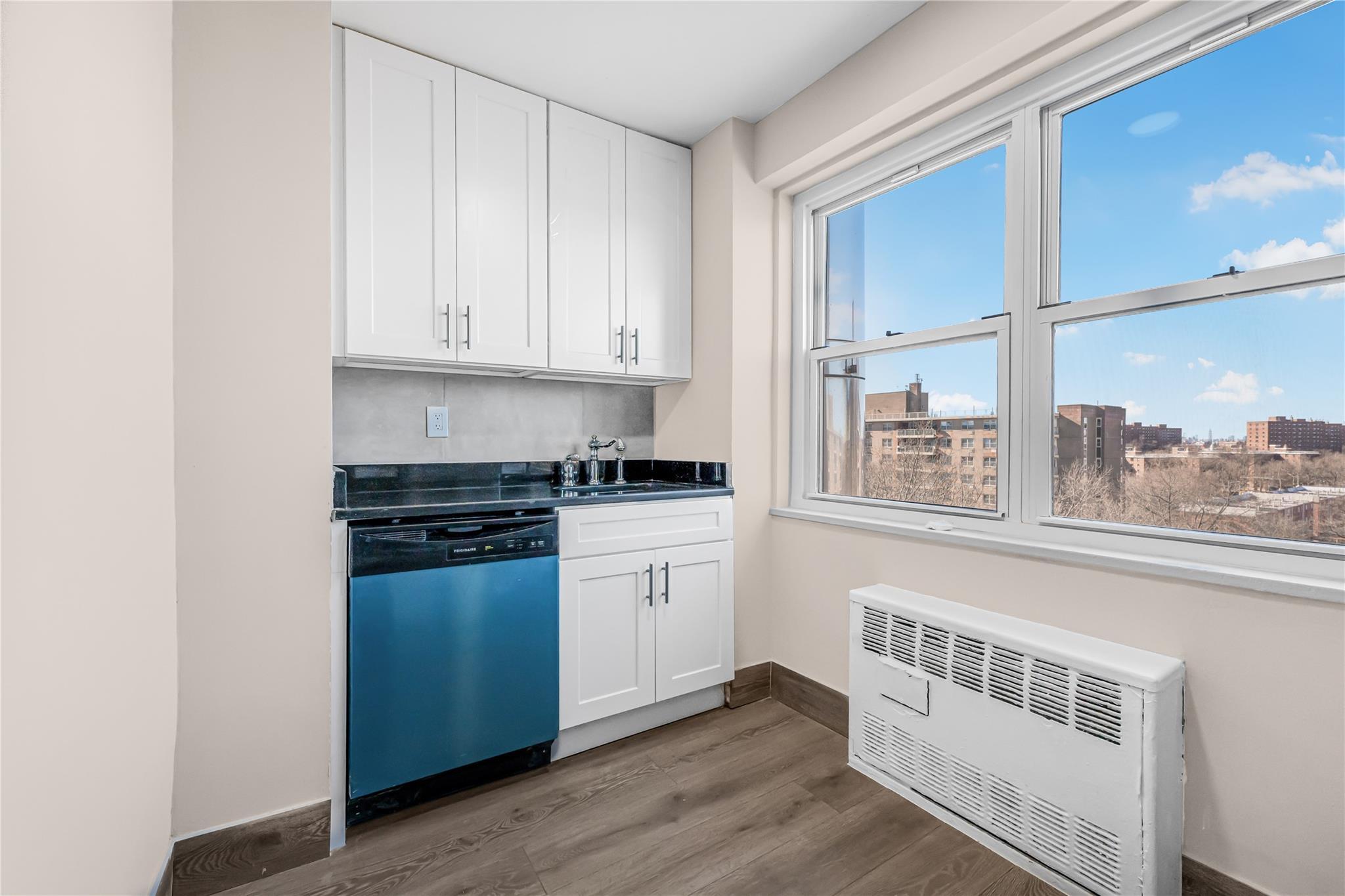 Condo Flatlands  Brooklyn, NY 11207, MLS-823655-17