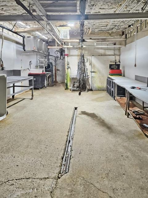 Commercial Sale Street  Brooklyn, NY 11213, MLS-823717-2